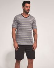 Obrázek z CTT PYŽ.PÁN.330/06 L 