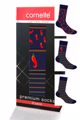Obrázek z CTT PÁN.PONOŽKY 3PACK 