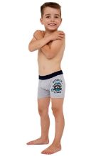 Obrázek z CTT BOX PRINT 700/138 170 