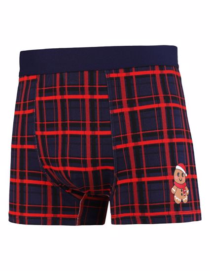 Obrázek z MORAJ BOX VÁN. MBX600-502  