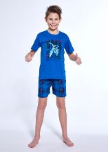 Obrázek z CTT PYŽ.CHL.790/117 140 