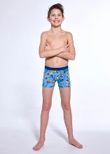 Obrázek z CTT BOX PRINT 700/148 170 