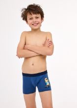 Obrázek z CTT BOX PRINT 700/150 170 