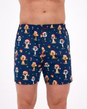 Obrázek z CTT BOX VÁNOCE 016/20 M 